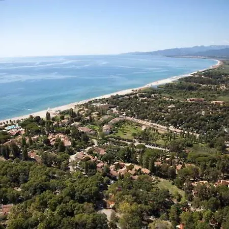 Marina Doru * ギソナクシア