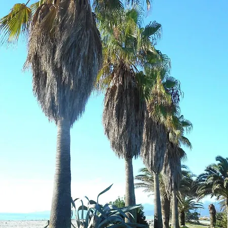 Nyaraló Marina Doru *