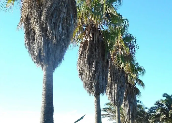 Casa vacanze Marina Doru *